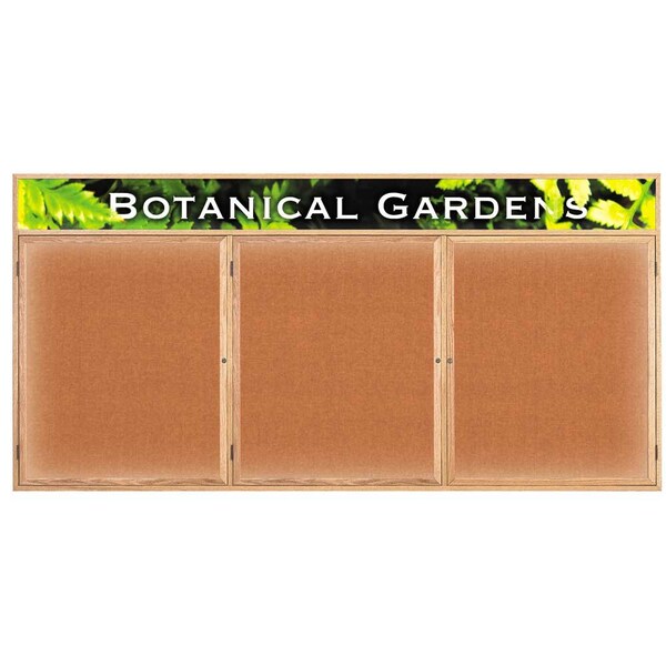 Open Faced Traditional Corkboard, 48x36"